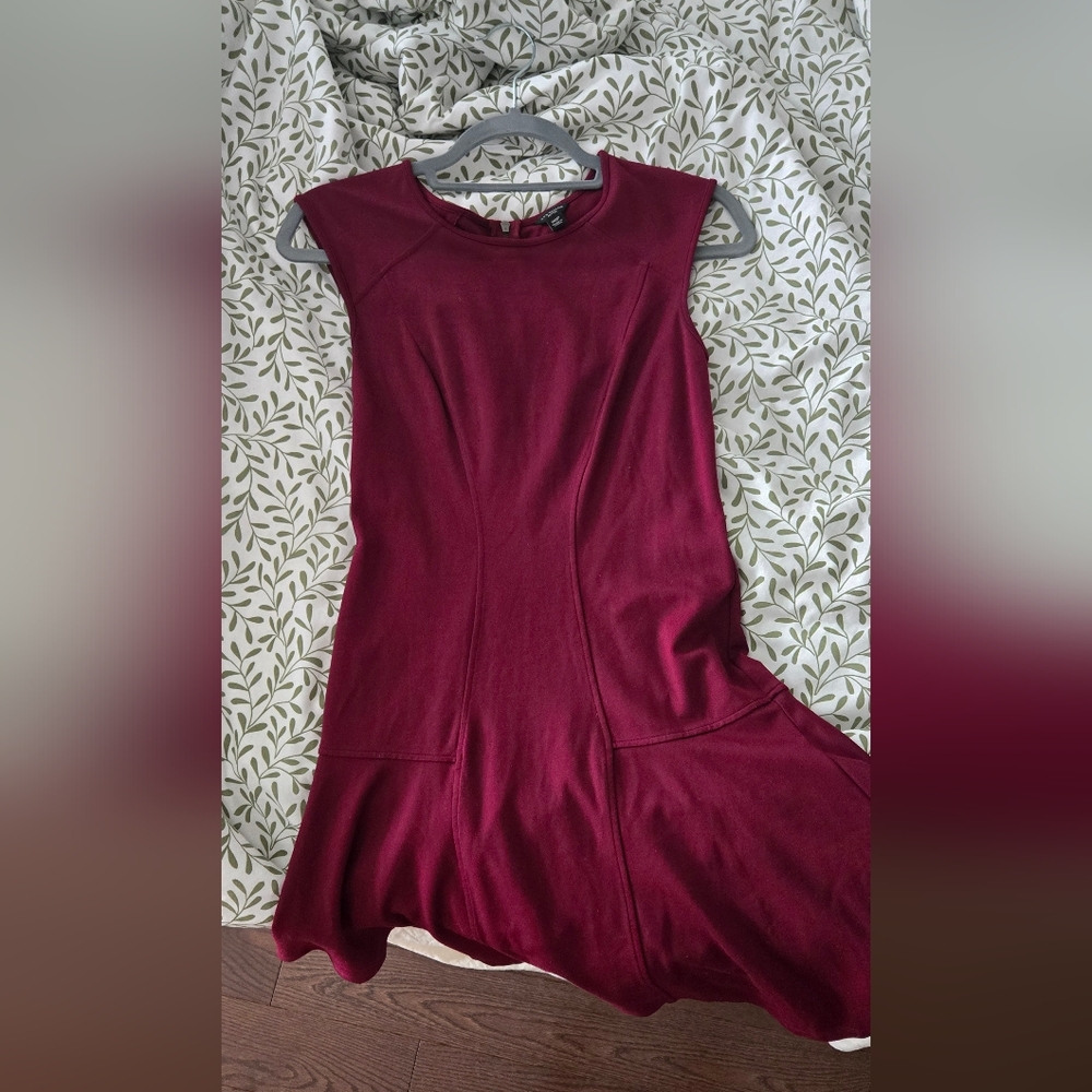Elegant Burgundy Dress